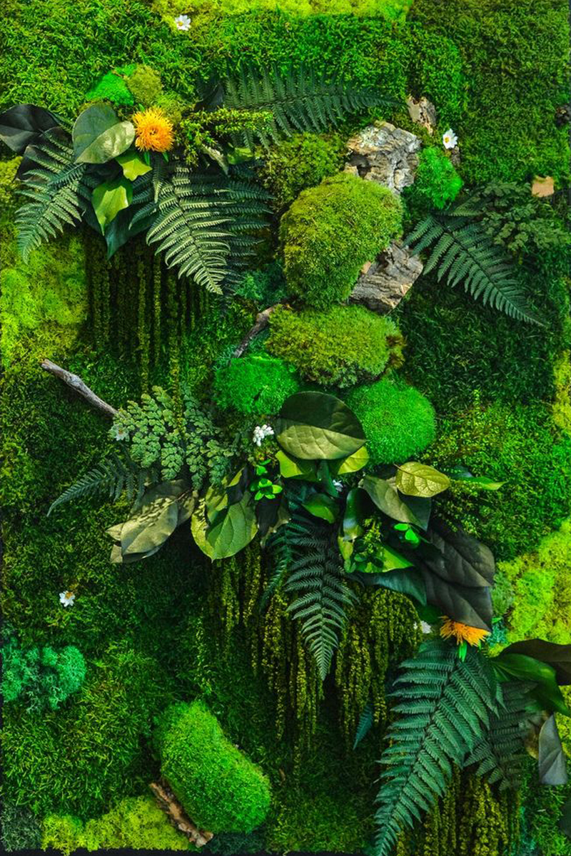 banner-image